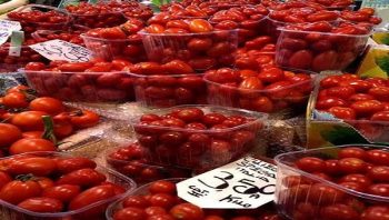 Cultural Barriers: Tomatoes!